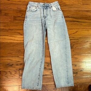 Aritzia- Denim Forum Jeans